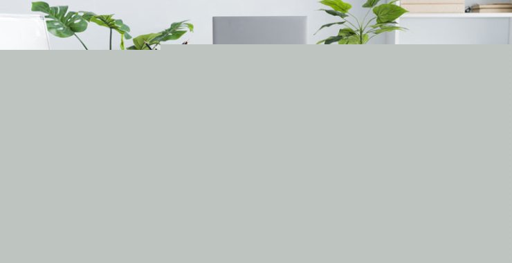 Learn Online Businesses with James